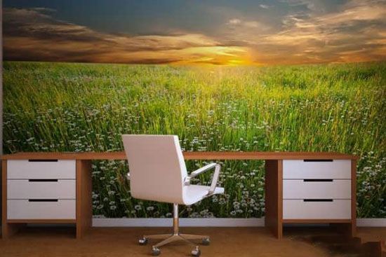 جدیدترین مدل های کاغذ دیواری طرح اداری جدیدترین مدل های کاغذ دیواری طرح اداری