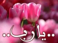 مناجات المحبین از امام سجاد (ع)