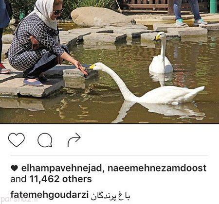 عکس های بازیگران و شخصیت های مشهور ایرانی (127)