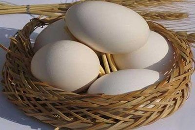 علایم کمبود ویتامین B12 در بدن