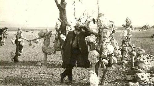درباره فیلم مغول ها از پرویز کیمیایی