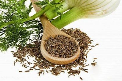 آشنایی کامل با خواص گیاه دارویی رازیانه