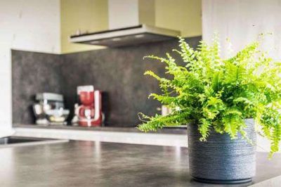 ترفندهای ساده برای زیباتر شدن فضای منزل