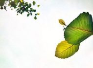 دیالوگ های به یاد ماندنی تاریخ سینما