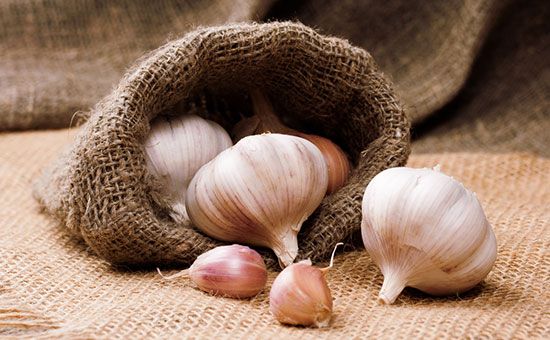 اگر نفخ شکم دارید از این روغن ها استفاده کنید