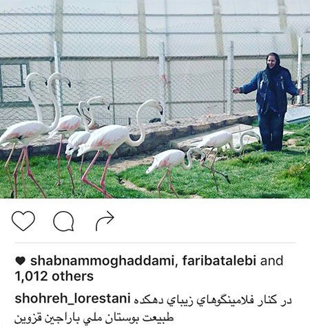 اخبار جدید هنرمندان و بازیگران سرشناس ایرانی (144)