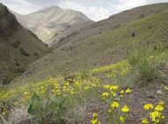 آشنایی با آبشار جنگلک در استان تهران