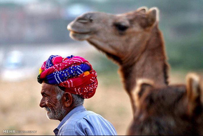 عکس و تصاویر خبری روز دنیا در اینجا (105)