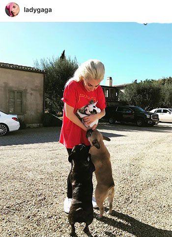 اخبار داغ هالیوود و بازیگران مشهور جهان در اینستاگرام