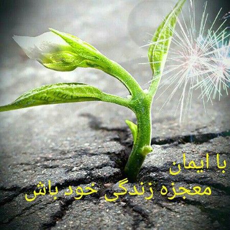 گالری عکس های عاشقانه ناب و رمانتیک سال 96