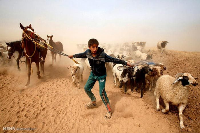 عکس و تصاویر خبری روز دنیا در اینجا (105)