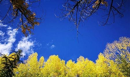 سرزمین بهشتی و زیبا را در تبت چین ببینید