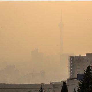 آخرین اخبار هنرمندان و بازیگران ایرانی (154)