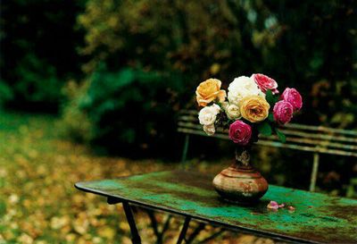 شعرهای کوتاه و ناب زندگی زیباست