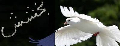 حدیث زیبا از امام حسین درباره بخشندگی