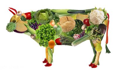 توصیه های خوراکی برای رژیم گیاه خواری