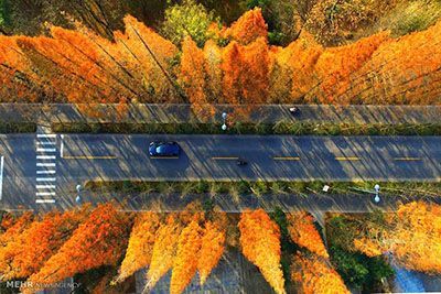 برگزیده عکس های خبری روز دنیا اینجاست (109)