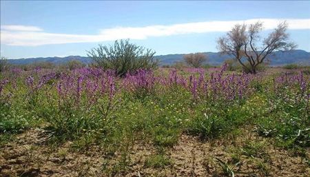 سفر به دره هندوستان در خراسان ایران