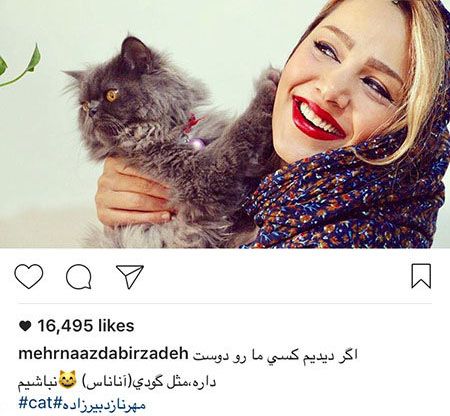 جنجالی ترین اخبار چهره ها و هنرمندان مشهور ایران (175)