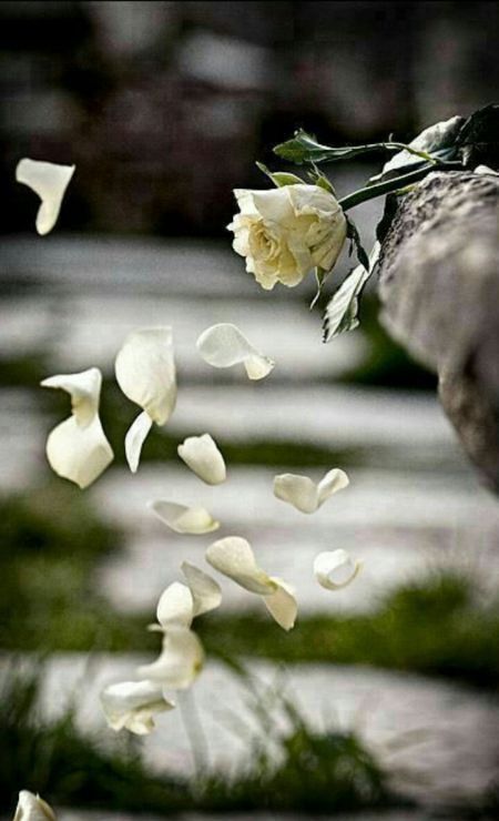 گالری عکس های عاشقانه و زیبای دختران تنها