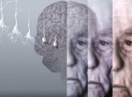 رفتن به جنگ آلزایمر و جلوگیری از آن