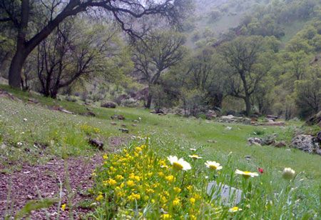 سفر به منطقه زیبای دنا در در غرب کشور