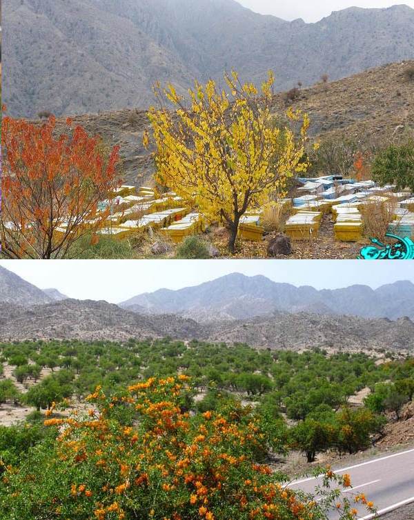 سفر به جیرفت شهر رویاهای ایران زمین