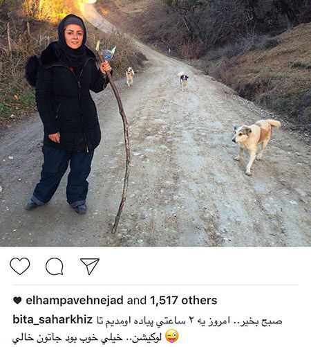 اخبار چهره ها و هنرمندان در فضای مجازی (171)