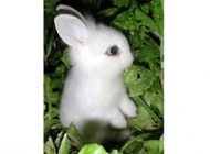 گلچین مجموعه اس ام اس خنده دار دی ماه