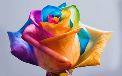 شعرهای کوتاه و ناب زندگی زیباست