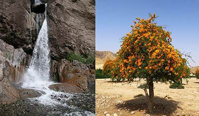 سفر به جیرفت شهر رویاهای ایران زمین