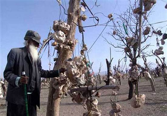 جاذبه های گردشگری عجیب ایران را حتما ببینید