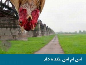 گلچین اس ام اس و جوک خوشحال کننده