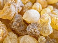 کندر معجزه ای برای تقویت حافظه و ضریب هوش