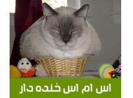 جوک های اس ام اسی خنده دار خفن