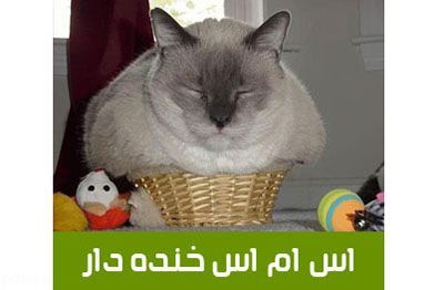 جوک های اس ام اسی خنده دار خفن