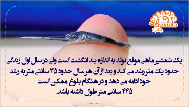 دانستنی های جالب و خواندنی بصورت عکس نوشته