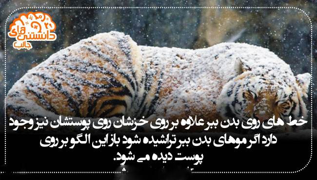 جدیدترین دانستنی های علمی عکس نوشته سال 2017
