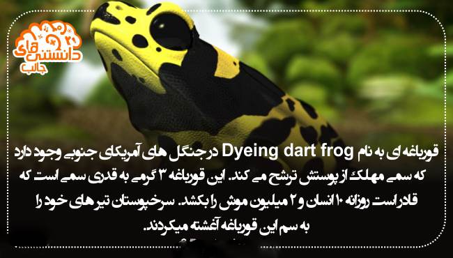 دانستنی های علمی و جالب سال 96 -2017