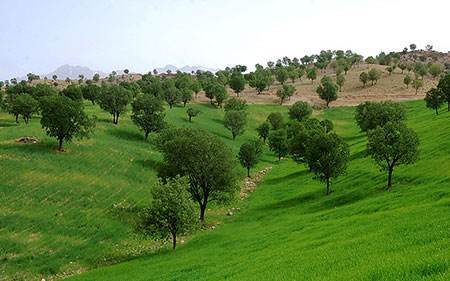 بزرگترین پارک جنگلی جنوب ایران در یاسوج