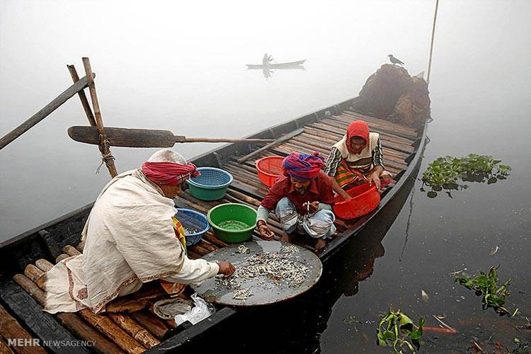 عکسهای دیدنی برگزیده خبری روز جهان (113)