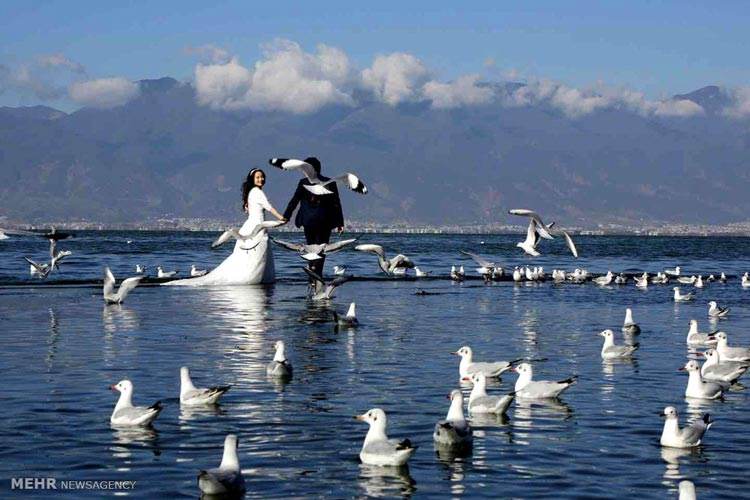 برترین عکس های خبری مهم روز جهان را ببینید (112)