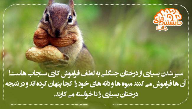 دانستنی های خواندنی و جالب از همه جا