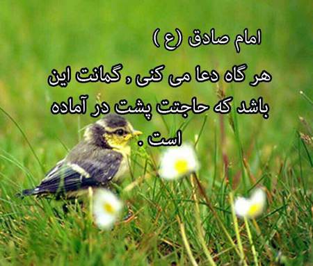 زیباترین جملات الهام بخش بصورت عکس نوشته ناب