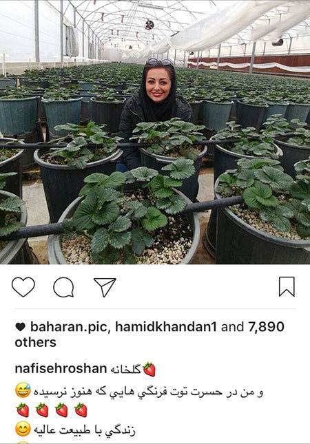 اخبار جدید بازیگران و هنرمندان معروف ایرانی (190)