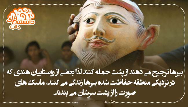 جدیدترین دانستنی های علمی عکس نوشته سال 2017