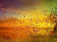 شعر عاشقانه و احساسی از لیلا کسری