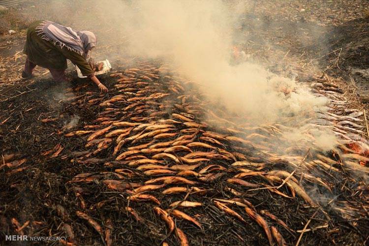 برترین عکس های خبری مهم روز جهان را ببینید (112)