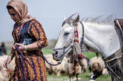 تصاویر دیدنی و زیبا از سراسر سرزمین ایران (113)
