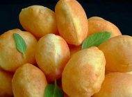 آموزش درست کردن نان پوری هندی خوشمزه